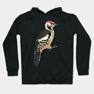 Middle spotted Woodpecker Hoodie